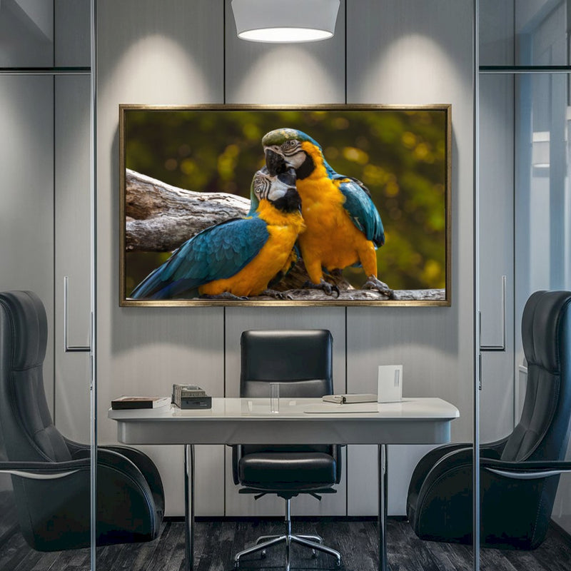 Quadro Casal De Araras