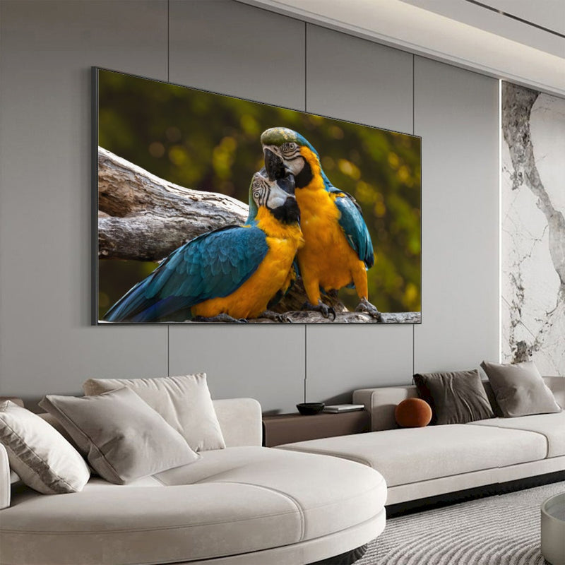 Quadro Casal De Araras