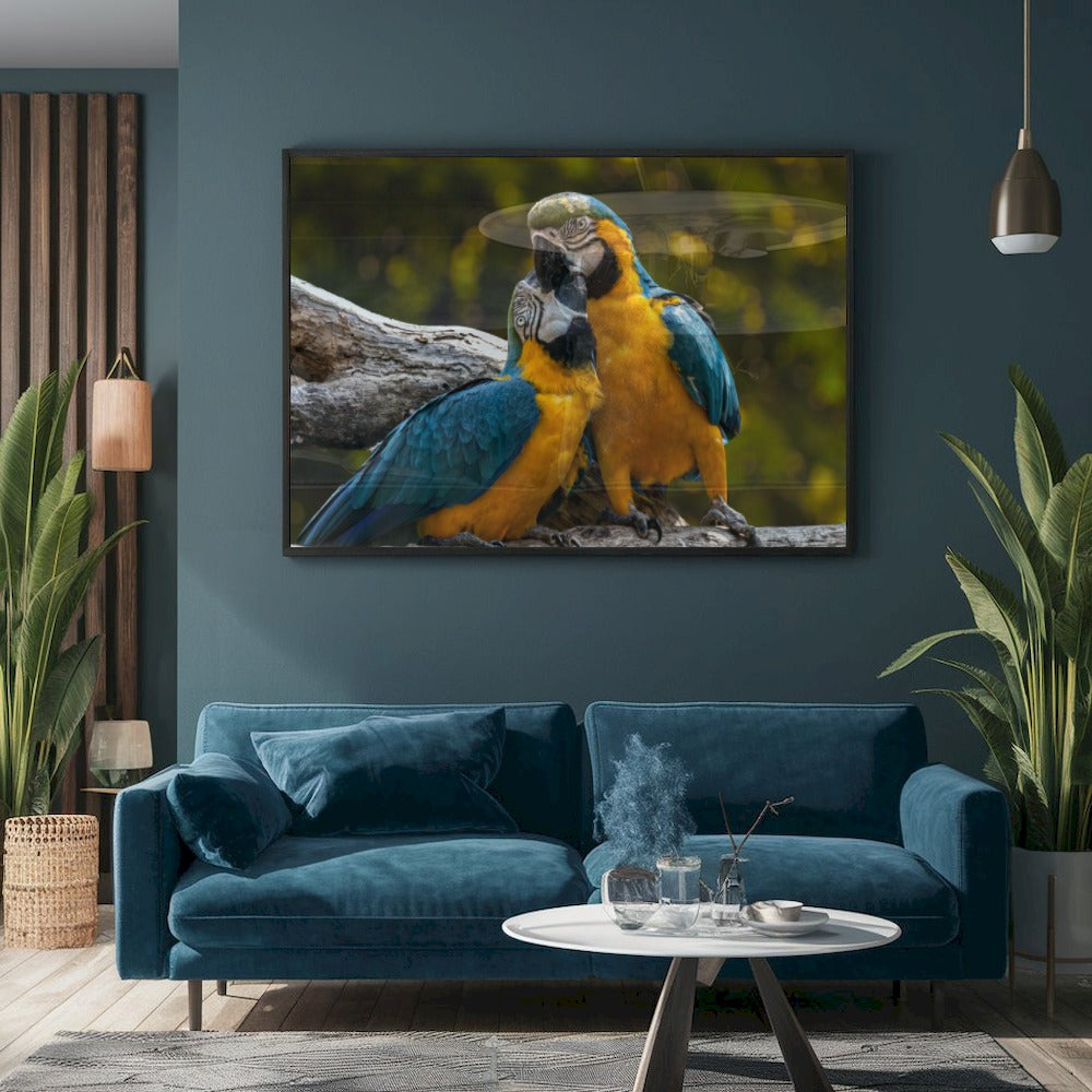 Quadro Casal De Araras