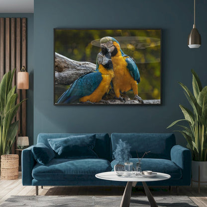 Quadro Casal De Araras