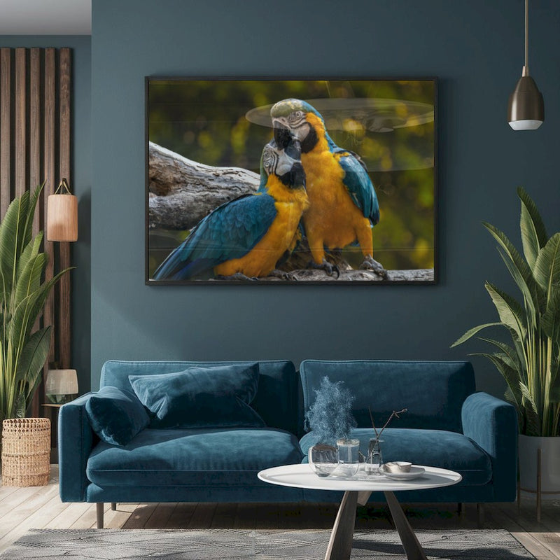 Quadro Casal De Araras