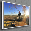 Quadro Chuva De Grãos