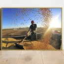 Quadro Chuva De Grãos