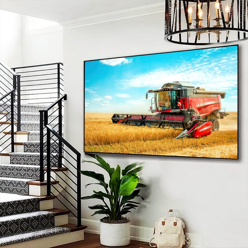Quadro Colhedeira Mf Street Art