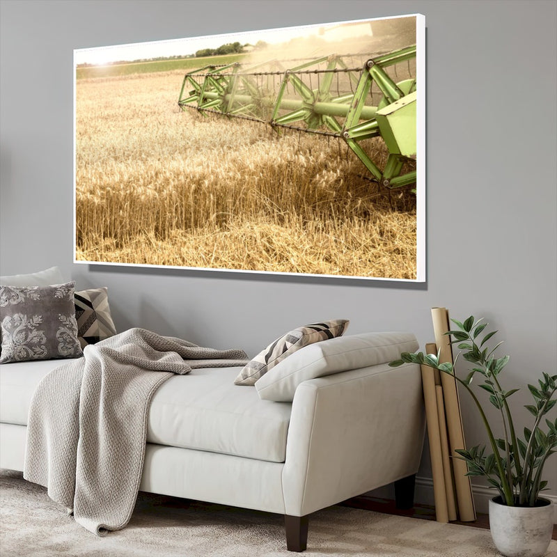 Quadro Colheita De Trigo