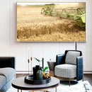 Quadro Colheita De Trigo