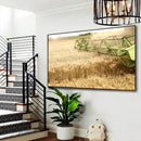 Quadro Colheita De Trigo