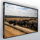 Quadro Confinamento De Gado