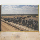 Quadro Confinamento De Gado