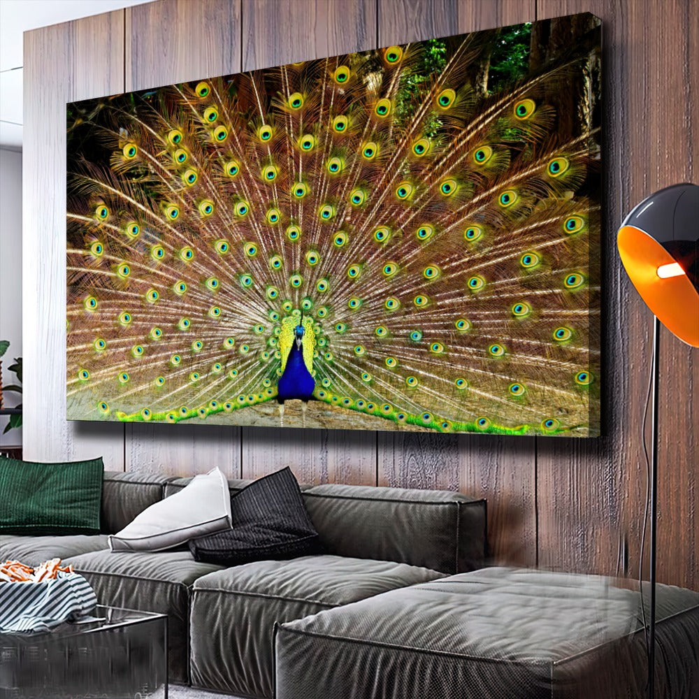 Quadro Decorativo Pavão