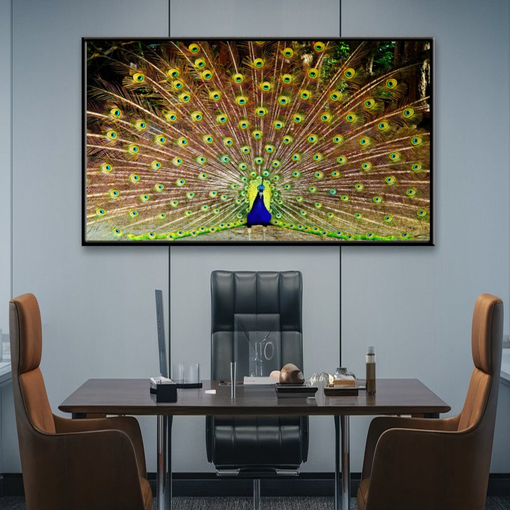 Quadro Decorativo Pavão