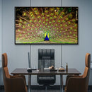 Quadro Decorativo Pavão