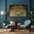 Quadro Decorativo Pavão