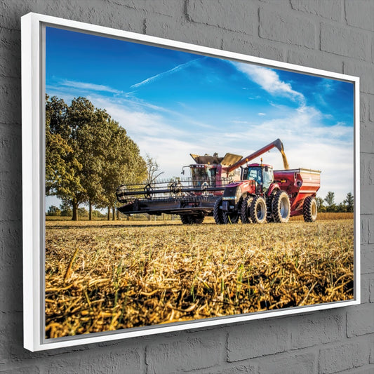 Quadro Descarregando Grãos Na Bazuca