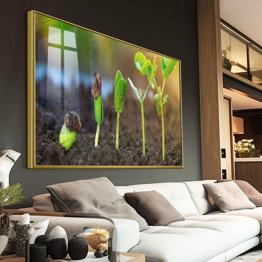 Quadro Germinacão De Grãos