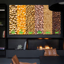 Quadro Grãos Brasil