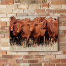 Quadro Tropa De Red Angus