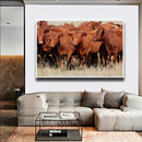Quadro Tropa De Red Angus
