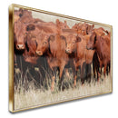 Quadro Tropa De Red Angus