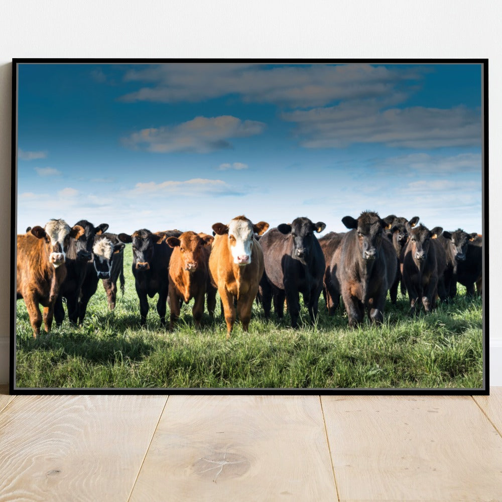 Quadro Tropa De Gado No Campo Pasto