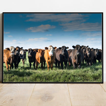 Quadro Tropa De Gado No Campo Pasto