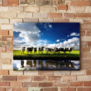 Quadro Vacas Holandesas No Campo Açude