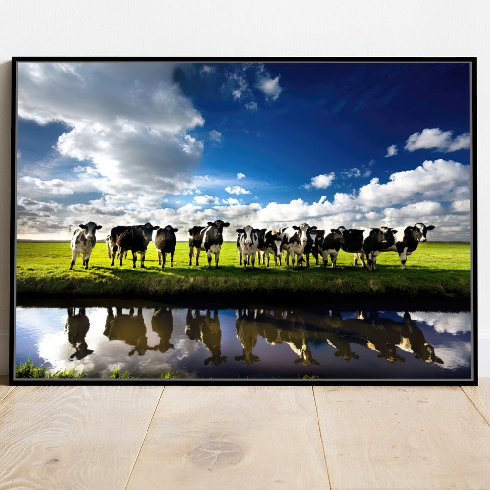Quadro Vacas Holandesas No Campo Açude
