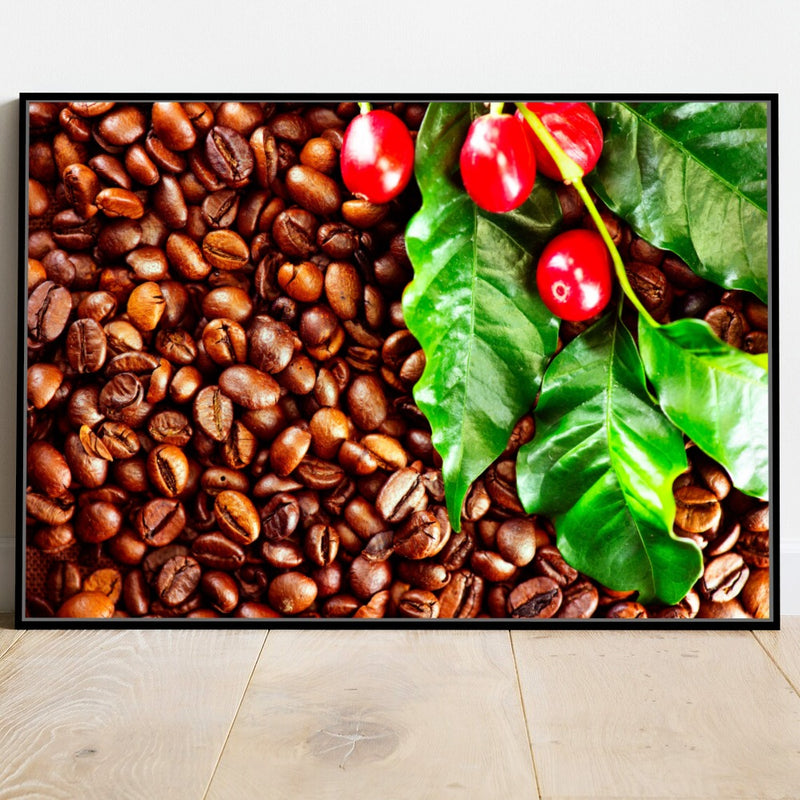 Quadro Grãos Do Café Em Natura