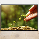 Quadro Plantação De Moedas Investimento