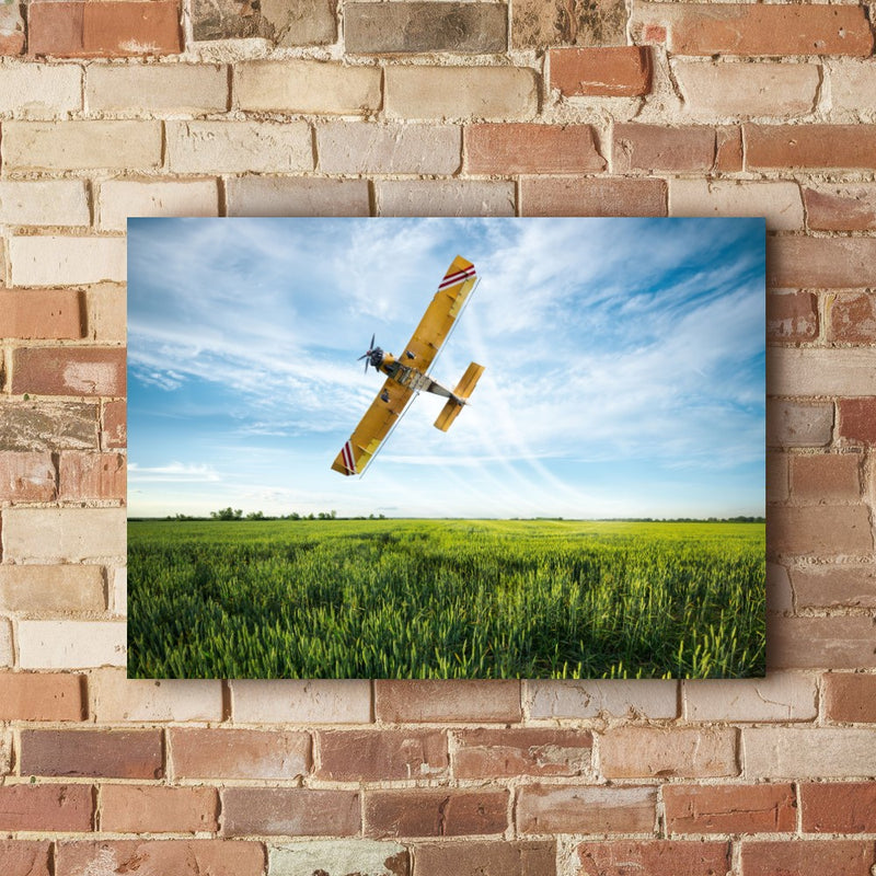 Quadro Pulverização Agrícola Aerea