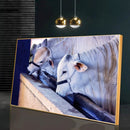 Quadro Gado Nelore Confinamento