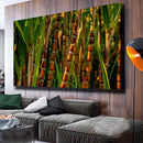 Quadro Pé De Cana De Açucar
