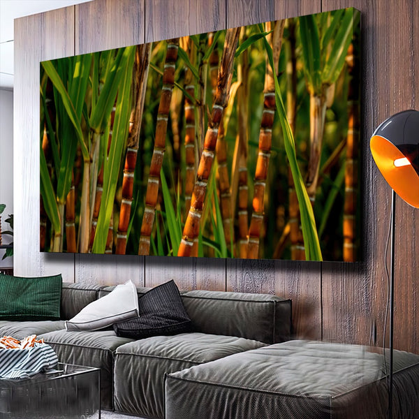 Quadro Pé De Cana De Açucar