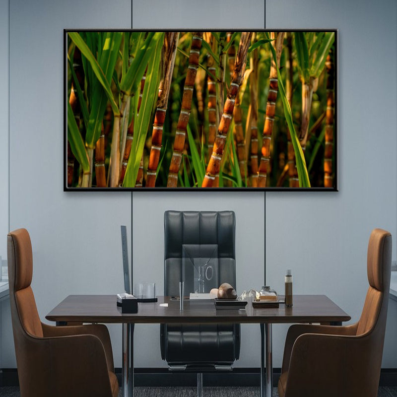 Quadro Pé De Cana De Açucar