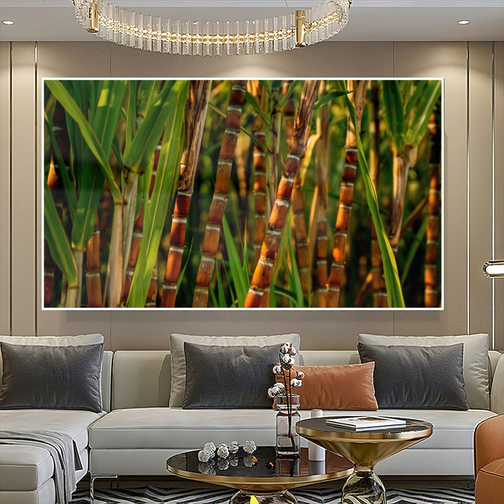 絵画 cana Quadro Pé De Cana De Açucar | Agro Quadros