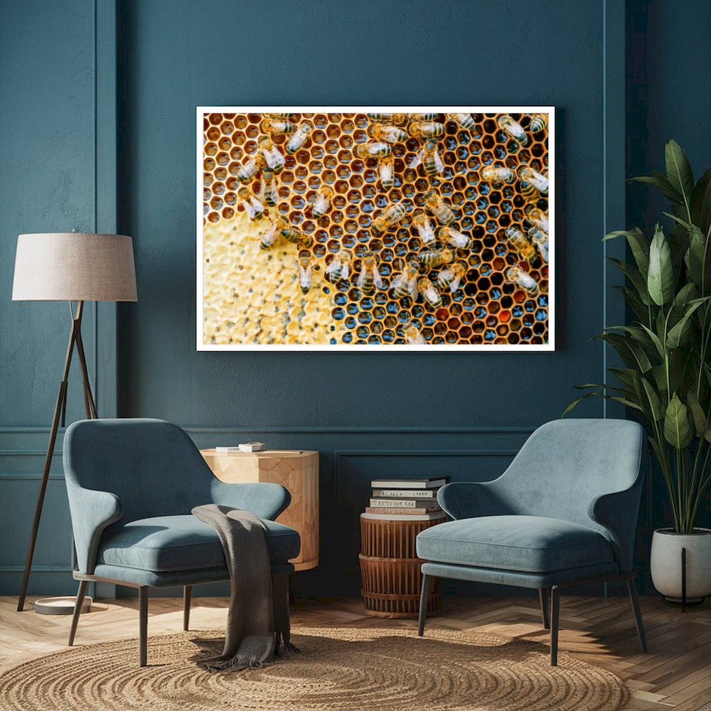 Quadro Favo De Mel