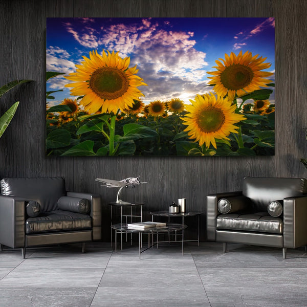 Quadro Gira Sol