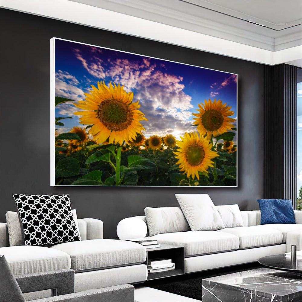 Quadro Gira Sol