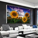 Quadro Gira Sol