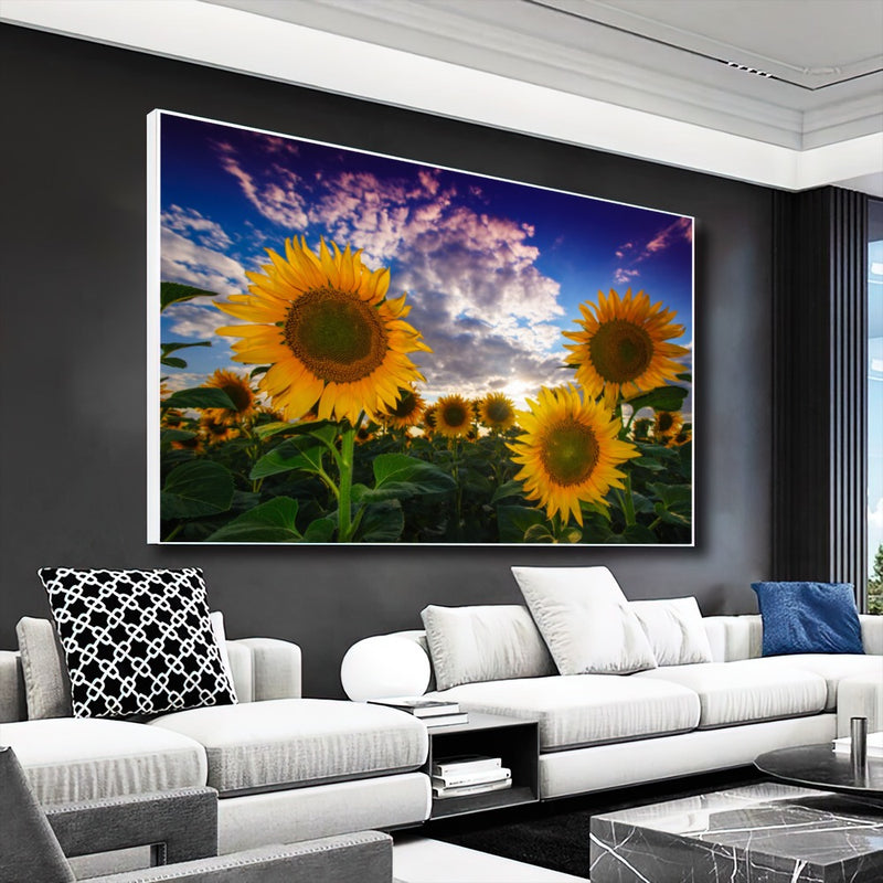 Quadro Gira Sol