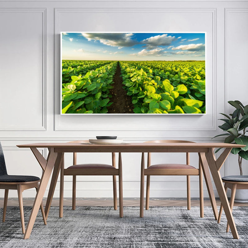 Quadro Lavoura Campo Soja Verde