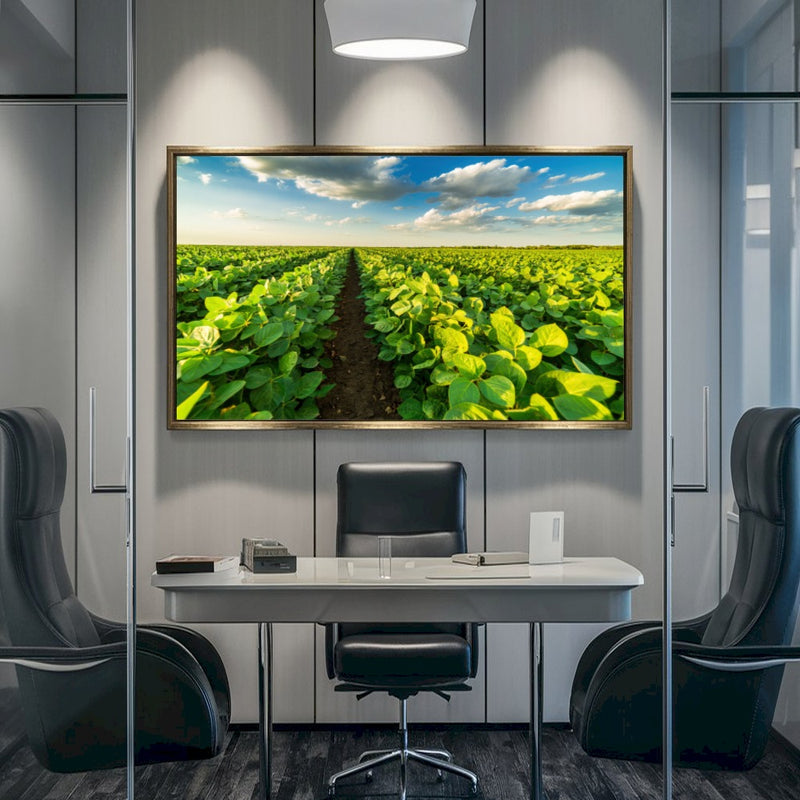 Quadro Lavoura Campo Soja Verde