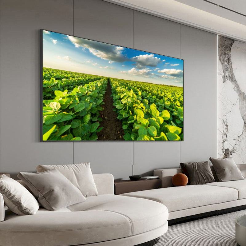 Quadro Lavoura Campo Soja Verde