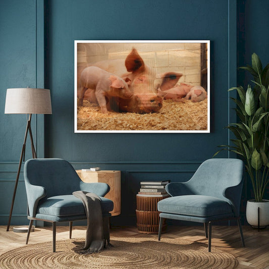 Quadro Leitoa E Leitão Confinamento