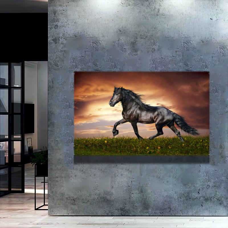 Quadro Lindo Cavalo Crioulo Correndo No Campo