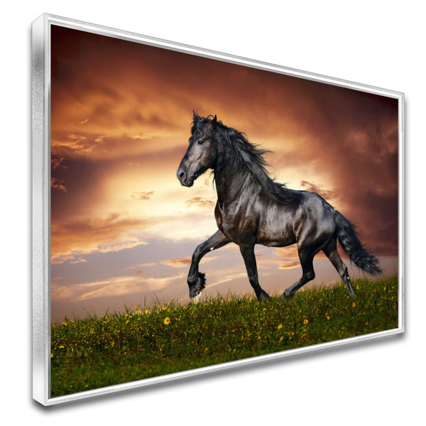 Quadro Lindo Cavalo Crioulo Correndo No Campo
