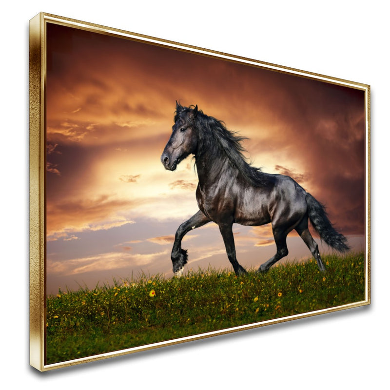 Quadro Lindo Cavalo Crioulo Correndo No Campo