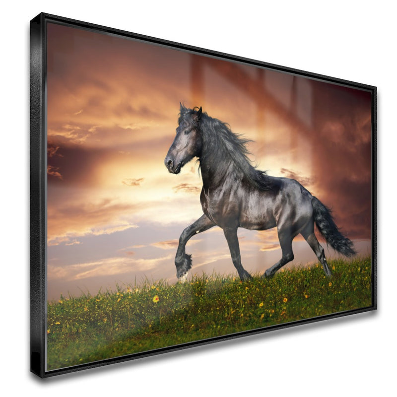 Quadro Lindo Cavalo Crioulo Correndo No Campo