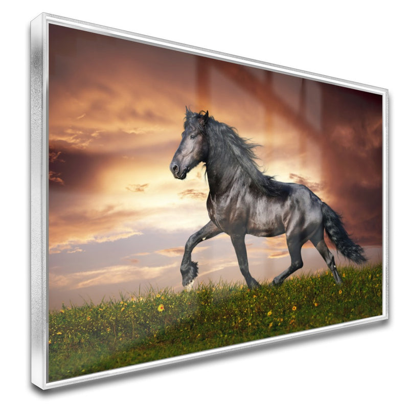 Quadro Lindo Cavalo Crioulo Correndo No Campo