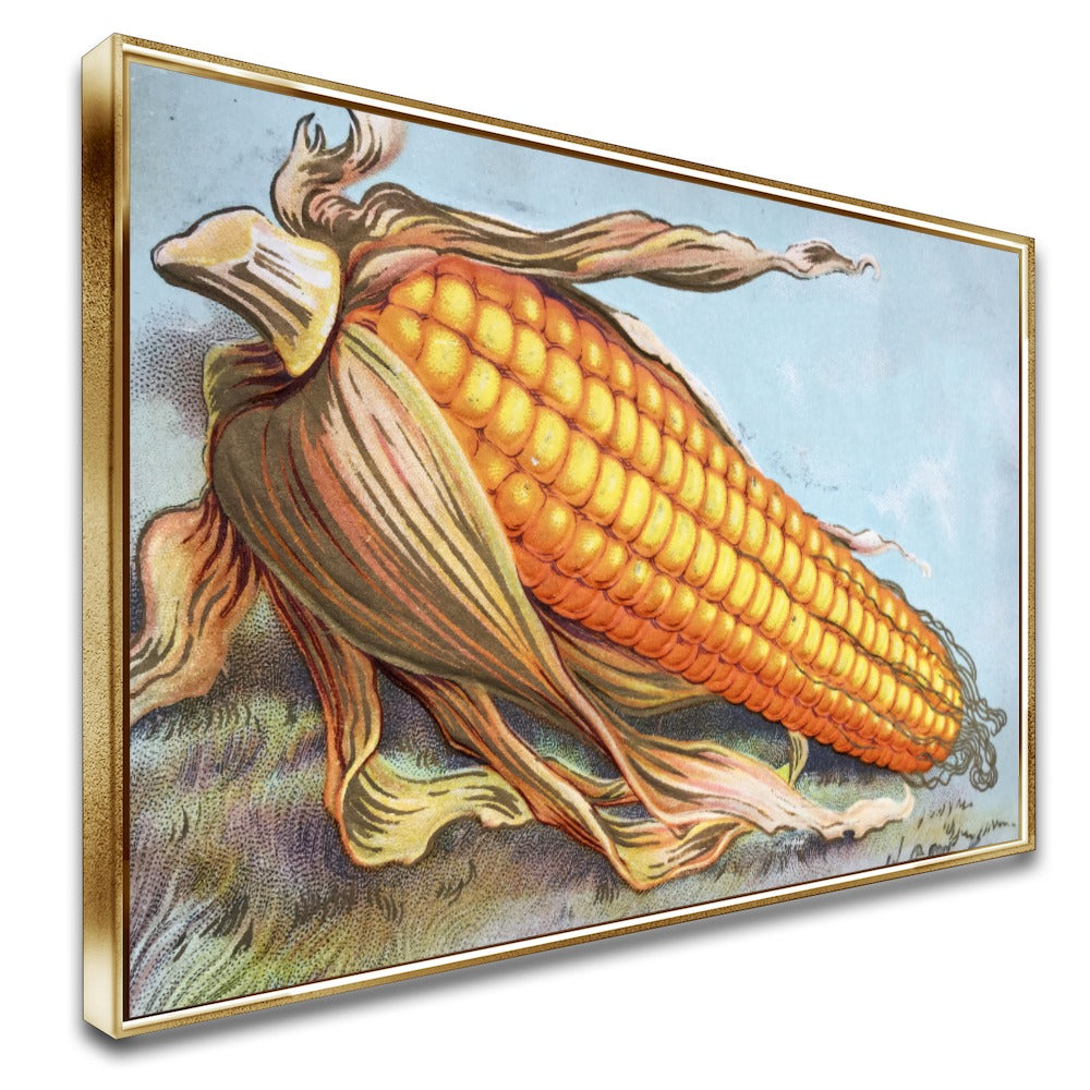 Quadro Milhão Do Agro